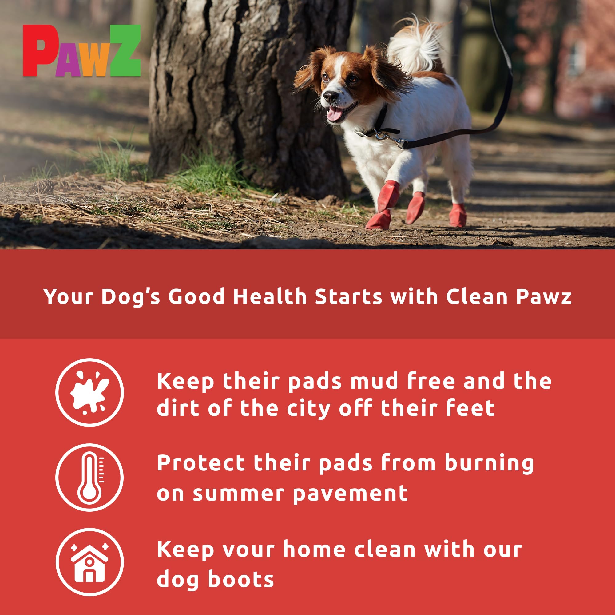 Protex PawZ small red dog boots on snow for winter protection.