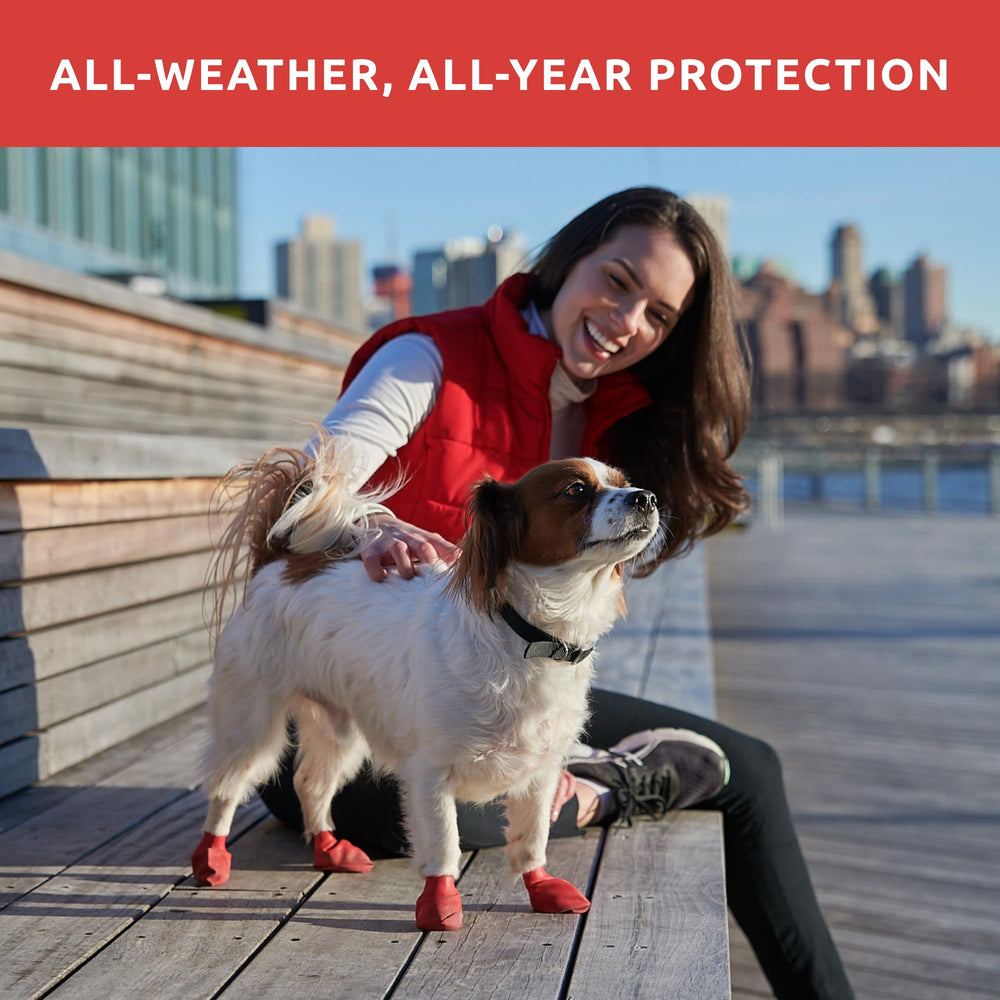 Protex PawZ sizing chart shown to help find a secure fit.