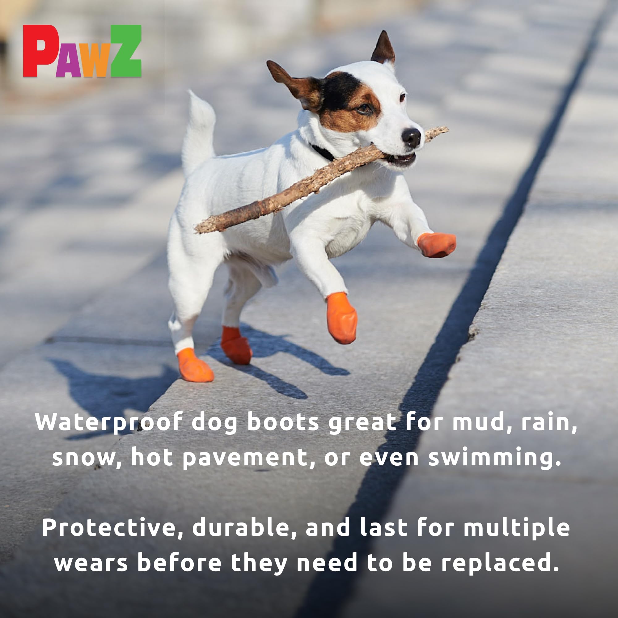 Protex PawZ two-pack box display highlighting value