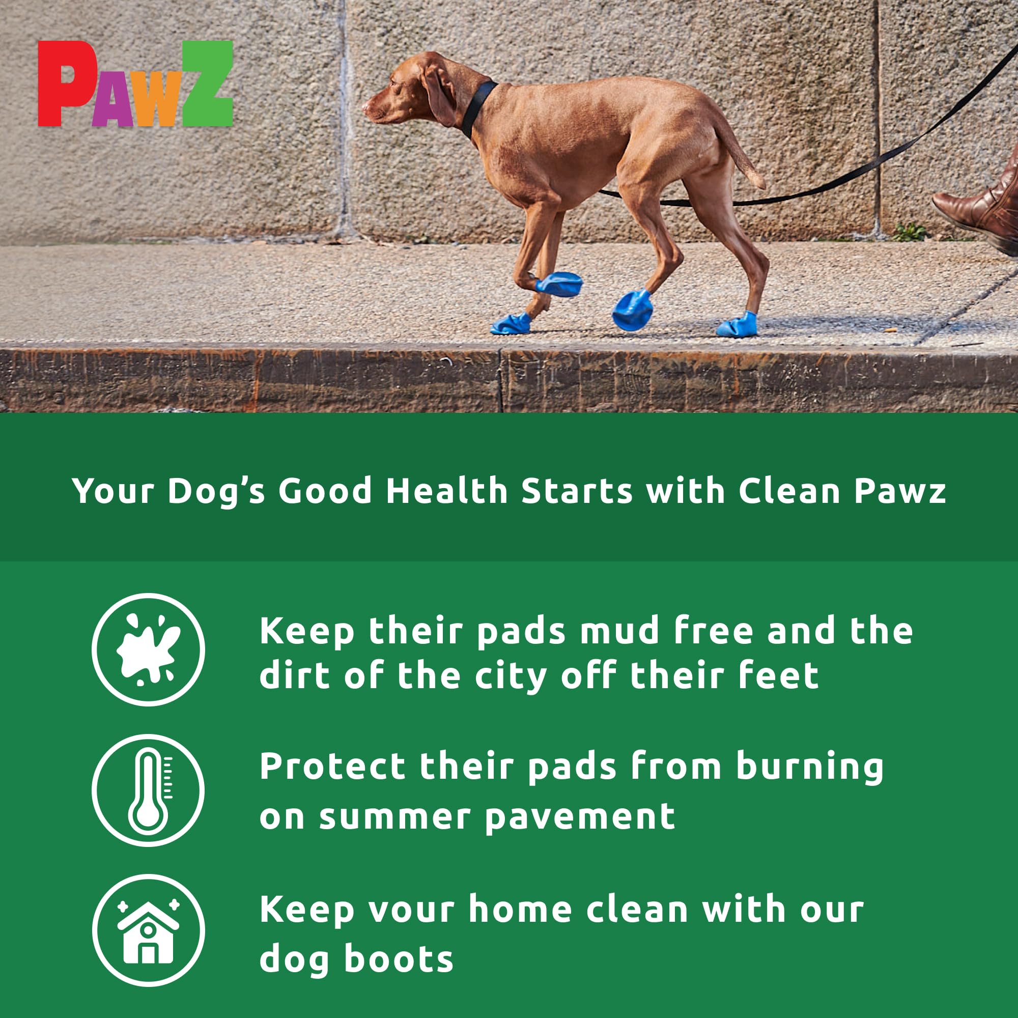 Protex PawZ waterproof dog boots on a rainy path keep paws dry