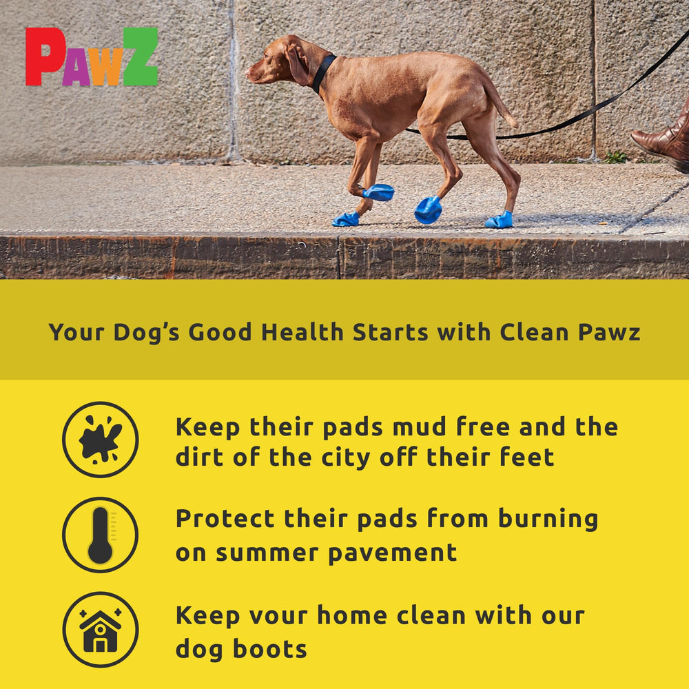 Protex PawZ waterproof dog boots protect tiny paws on snowy or muddy hikes