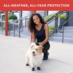 Protex PawZ waterproof dog shoe shown during outdoor adventure keeping paws dry.