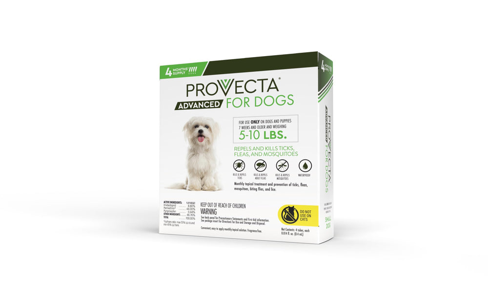 Provecta Advanced dog-care-spot-on scene conveys convenient at-home monthly treatment