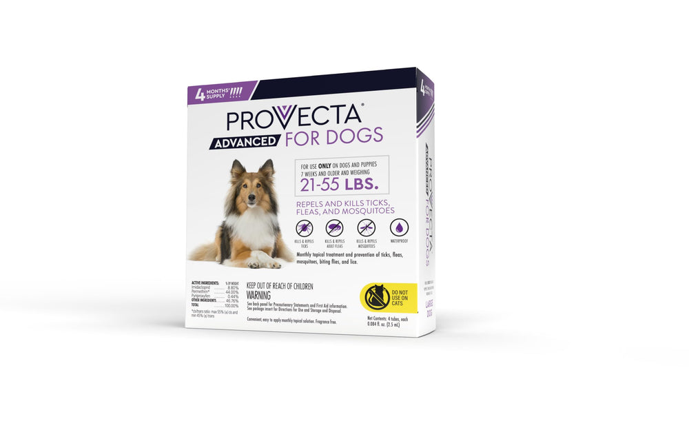 PROVECTA closeup of bottle drops for precise dosing on dogs.