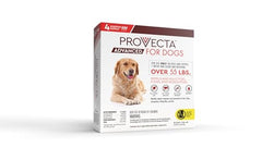Provecta dog mosquito repellent effects for outdoor time.