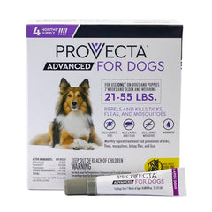 PROVECTA dog neck-area application ready for pest protection.