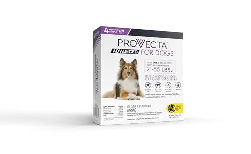 PROVECTA dog outdoors in yard, demonstrating pest protection in action.