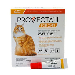 PROVECTA large-cat bottle close-up showing dosage and label