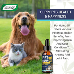 PROZIMA hemp oil dog-cat bottle pour — convenient dosing for daily calming routines.