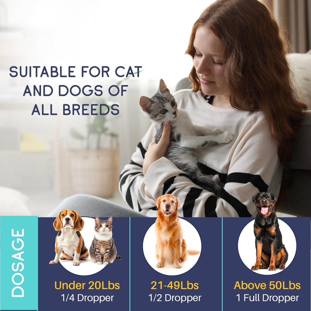 PROZIMA joint-support hemp oil — helps pet mobility and comfort during activity.