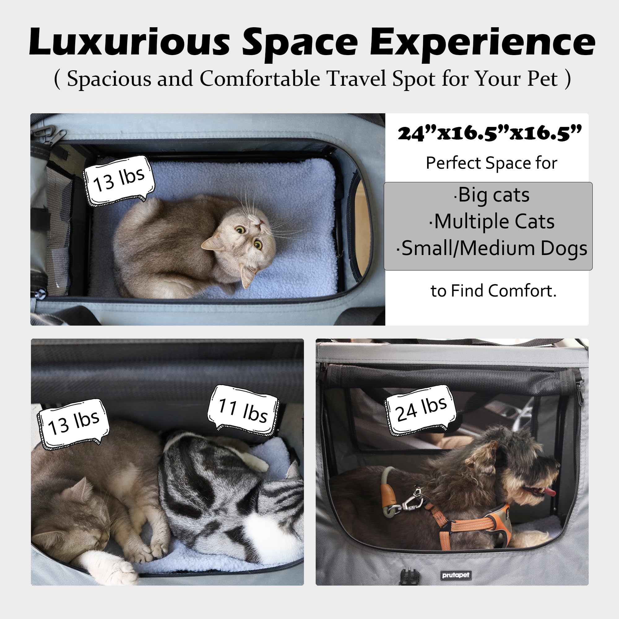 Prutapet carrier with foldable bowls and litter box for travel needs.