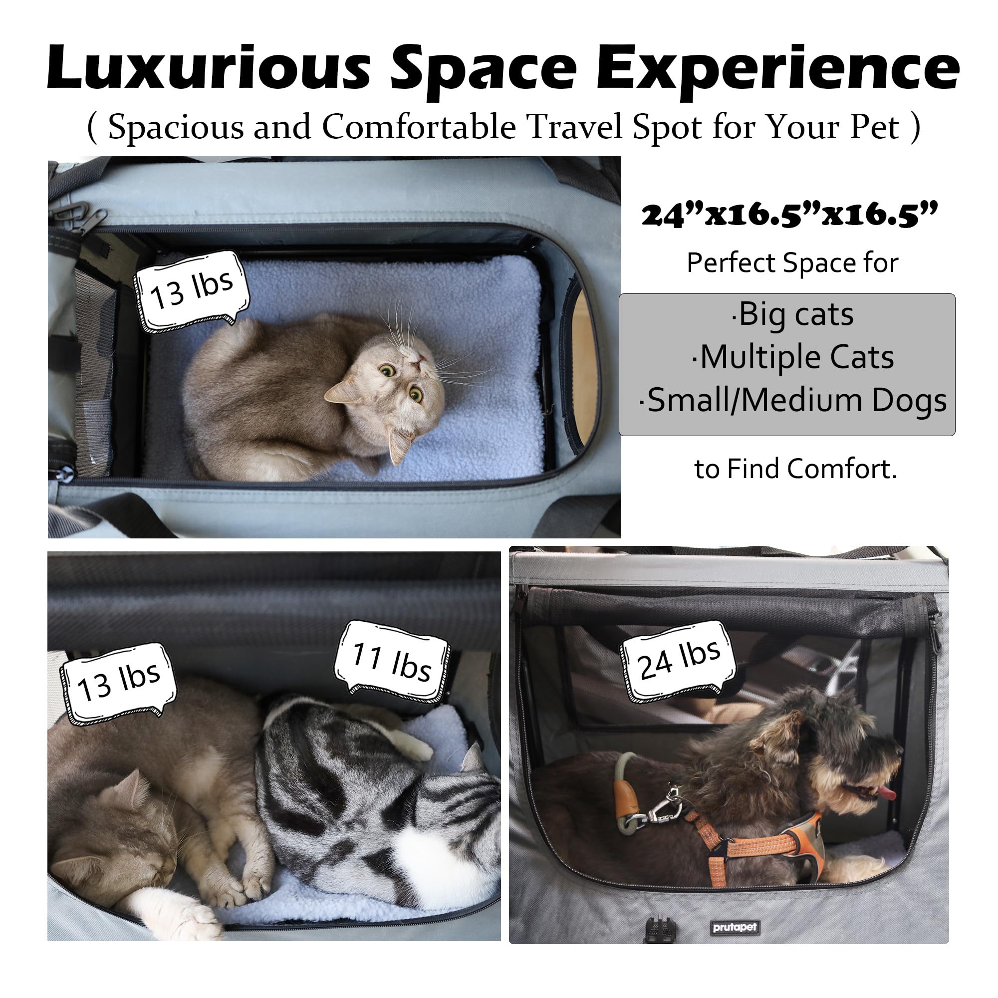 Prutapet large cat carrier interior space showing roomy comfort