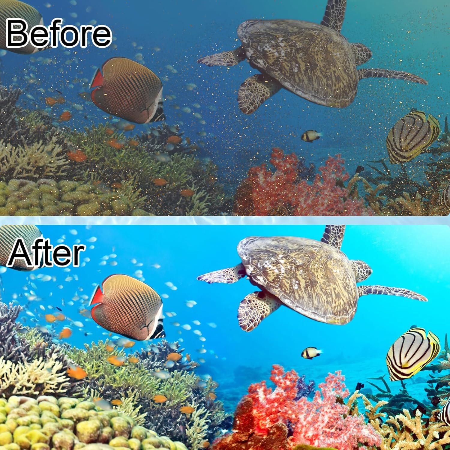 Pryitier large aquarium cartridge set supports varied Whisper models.
