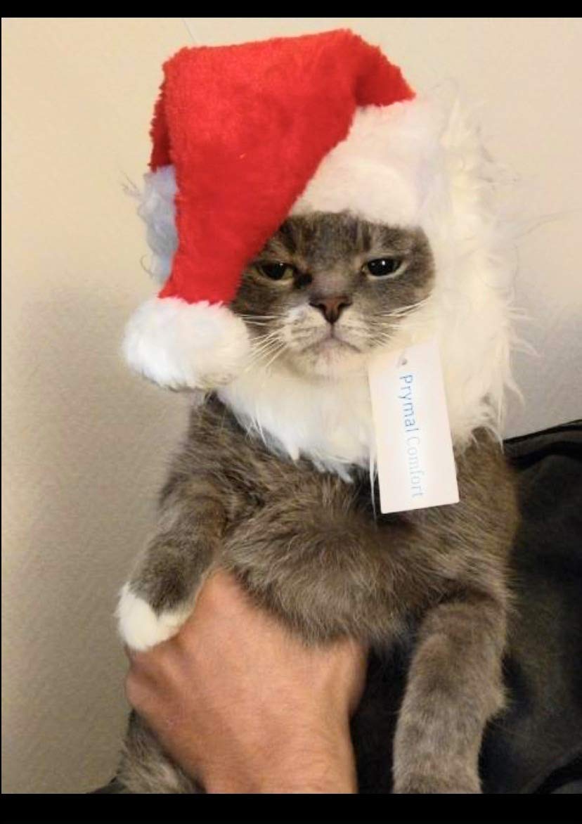 Prymal Comfort Santa Cat Costume soft furry texture for cozy look.