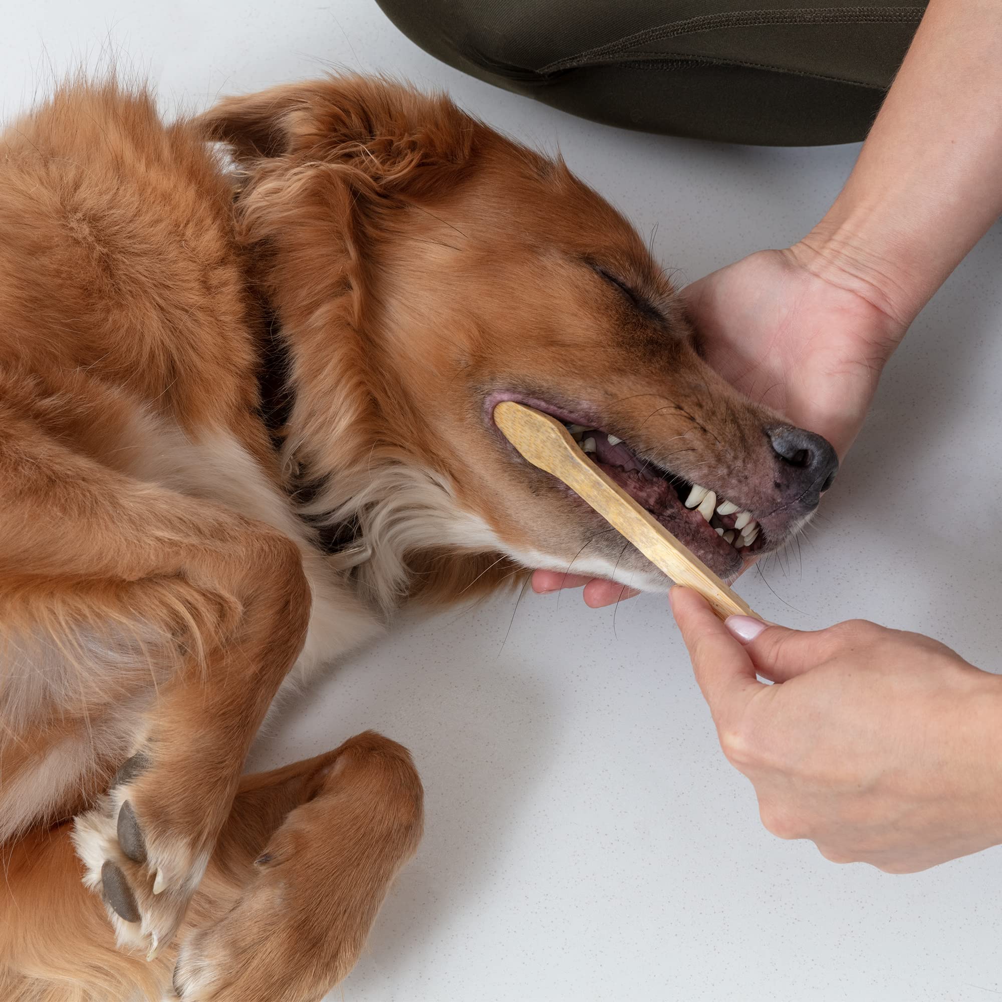 Prymal Pets bulk 4-pack helps families maintain consistent dental routines.