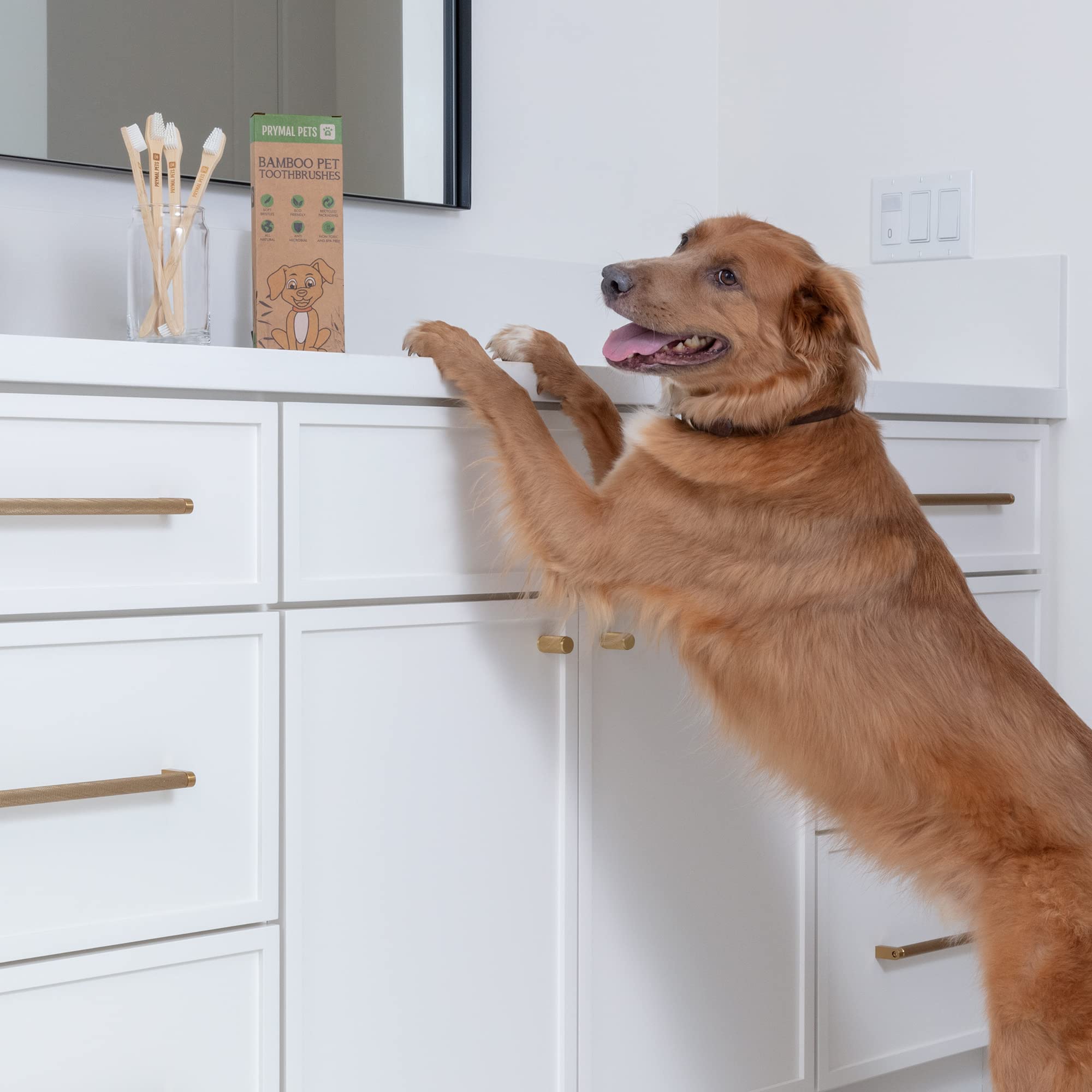 Prymal Pets dual-sided bristles clean both front and back teeth effectively.