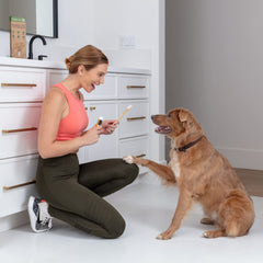 Prymal Pets large-dog toothbrush with a long handle for comfortable, full-mouth brushing.