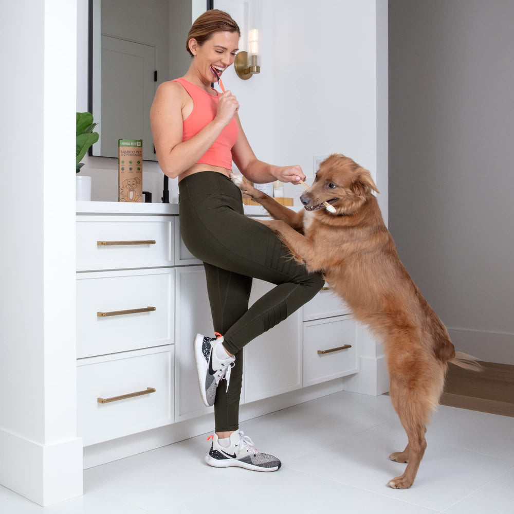 Prymal Pets toothbrush box enables safe, disposal-ready packaging after brushing.