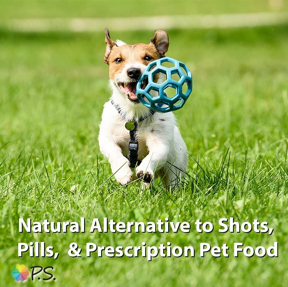P.S. For Dogs, With Love ready-to-serve bowl showcases a palatable allergy-friendly meal.