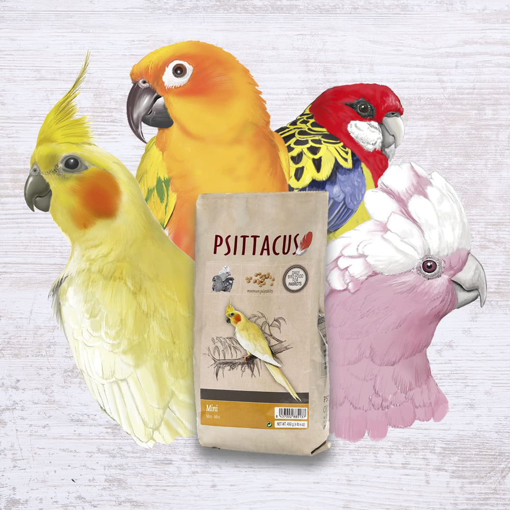 Psittacus Mini delivers 100% diet pellets for complete nutrition.