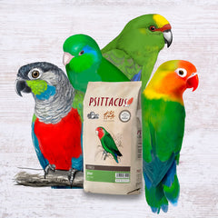 Psittacus Minor lovebirds diet image with varied feed options for enrichment