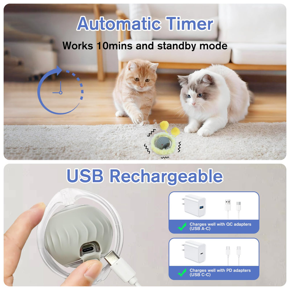 Pskfvre hide-and-seek mouse game boosts chasing and pouncing skills.