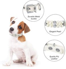 PSPORT Adjustable jewelry clasp on dog collar demonstrates easy wear and secure fit