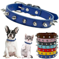 PSPORT spiked collar blue small dog side view highlights stylish safety during walks.