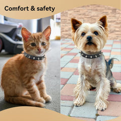 PSPORT spiked collar D-ring with leash attachment for easy daily walks.