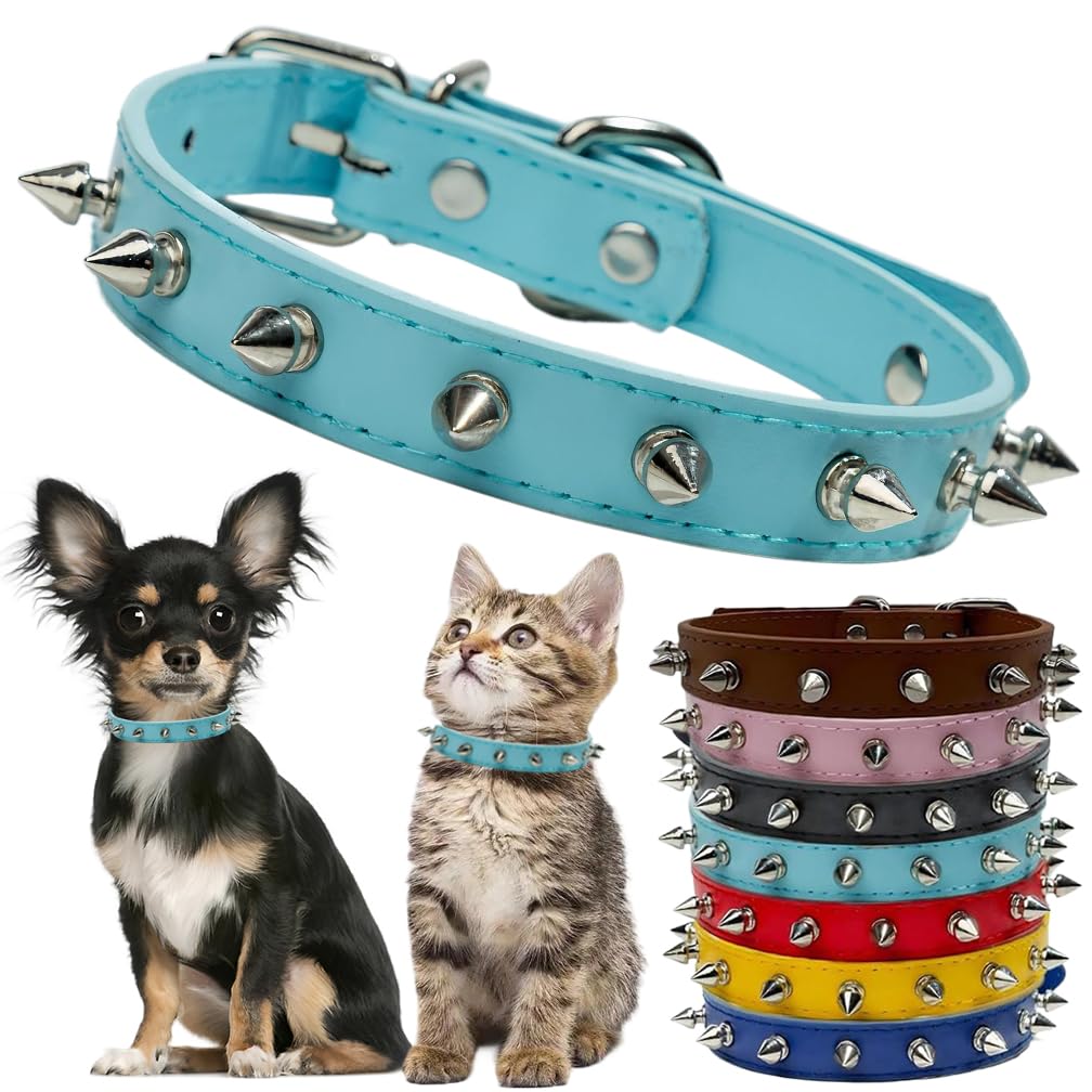 PSPORT Spiked Collar light-blue XS fits small dogs for safe stylish daily walks.