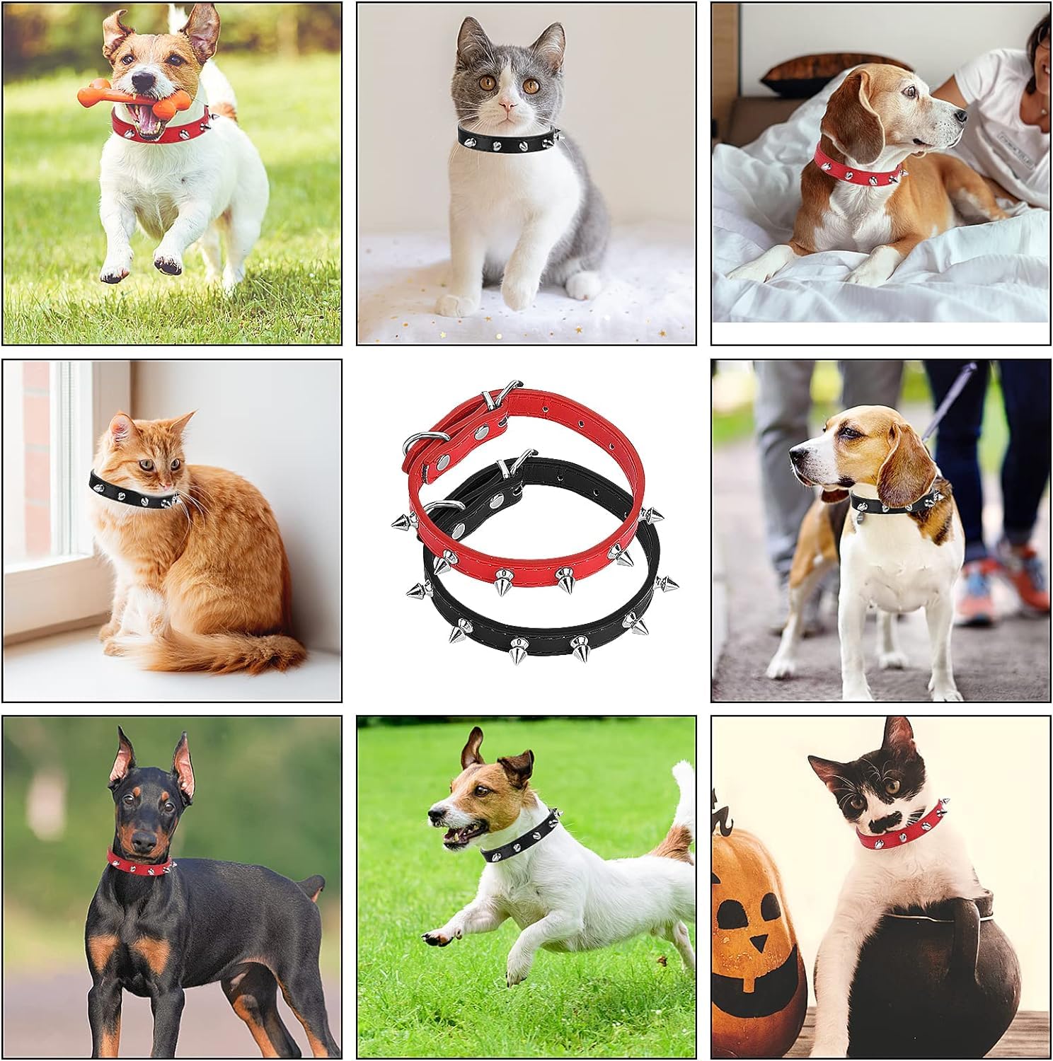 PSPORT Spiked Collar puppy playtime ideal for training and gentle socialization.
