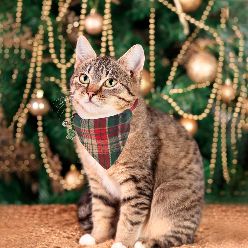 PTDECOR bell on collar produces gentle jingle for easy location