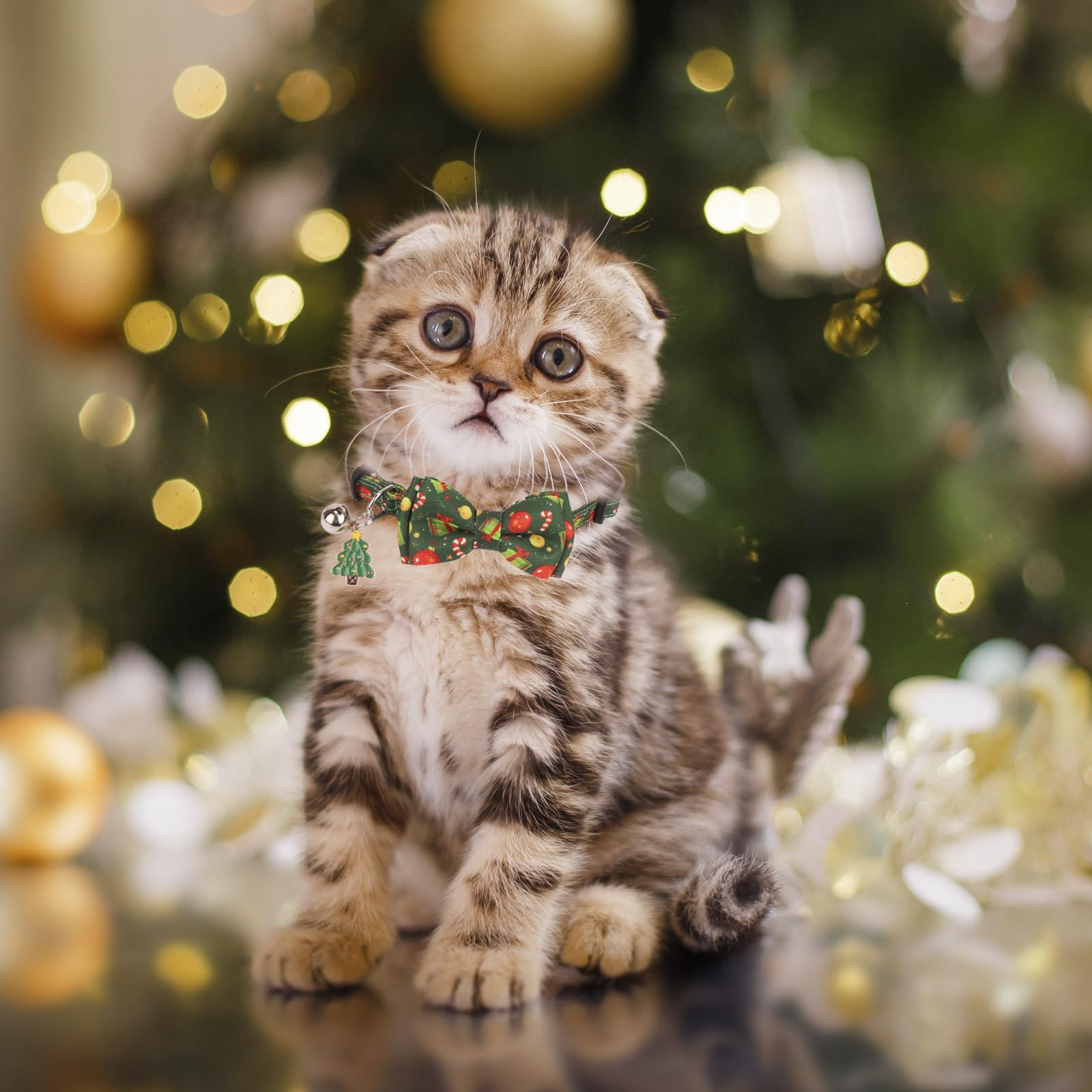 PTDECOR breakaway buckle cat collar designed for safety during play