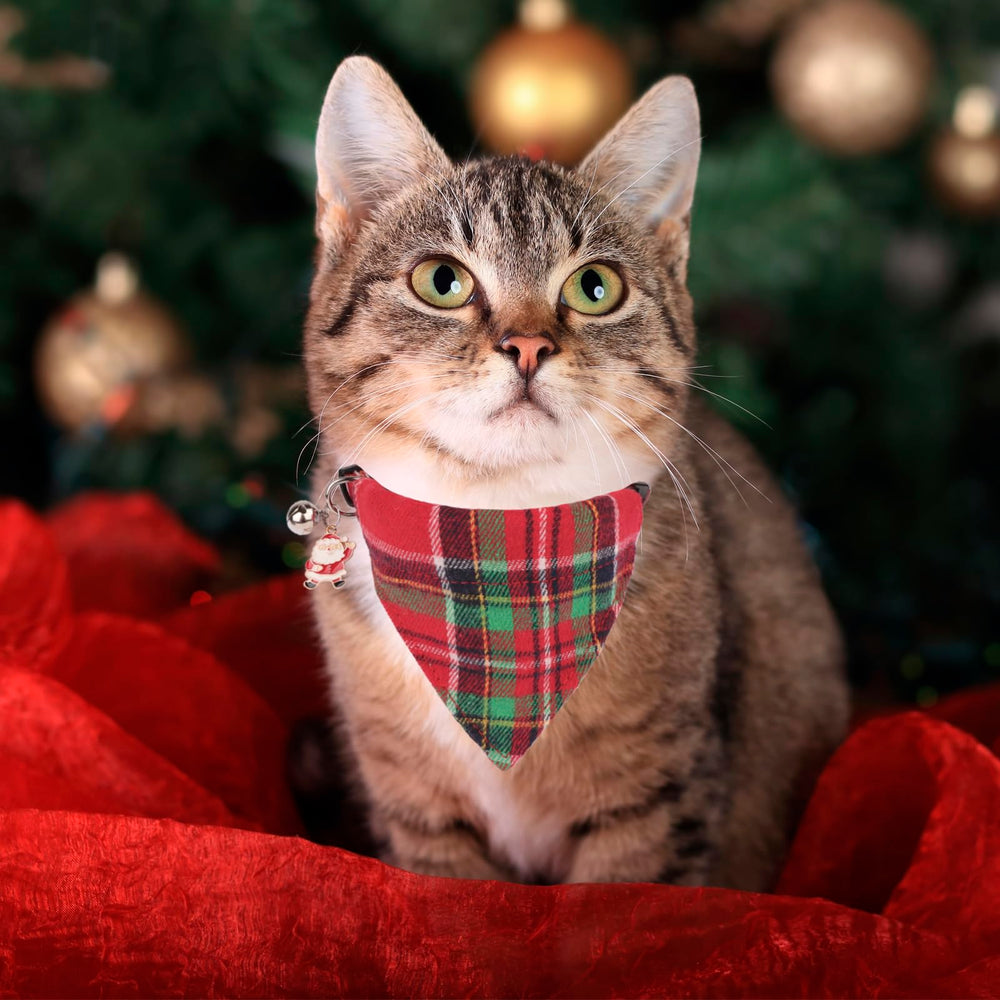 PTDECOR breakaway buckle on cat collar ensures safe daily wear