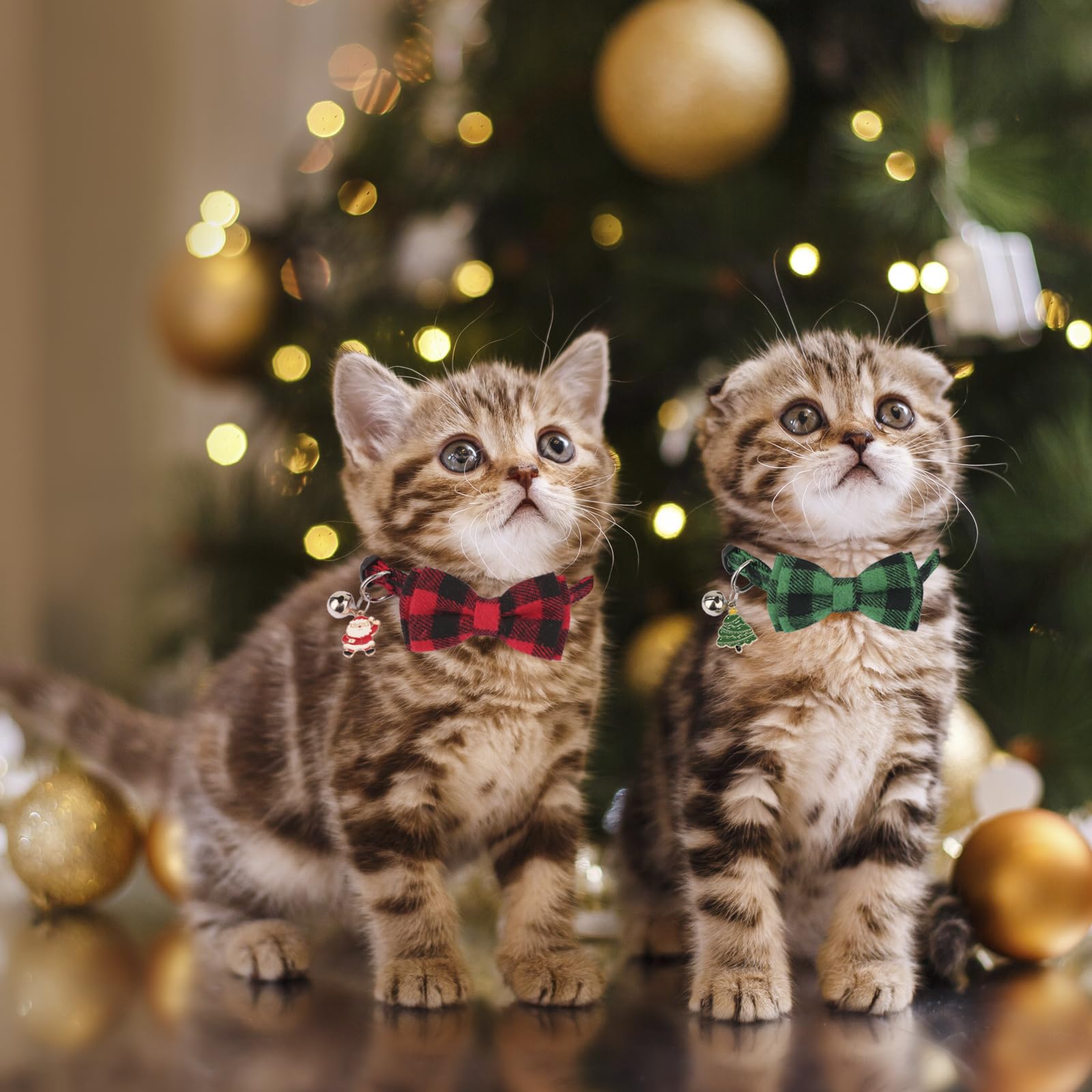 PTDECOR bell-removable cat collar ready for easy finding and charm options.