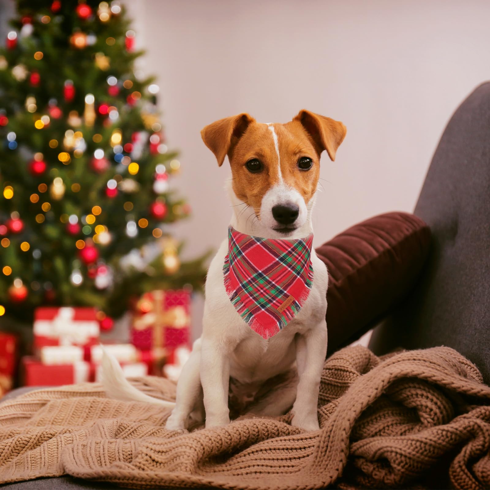 PTDECOR dog bandana made of soft cotton with double layer for comfortable daily wear.