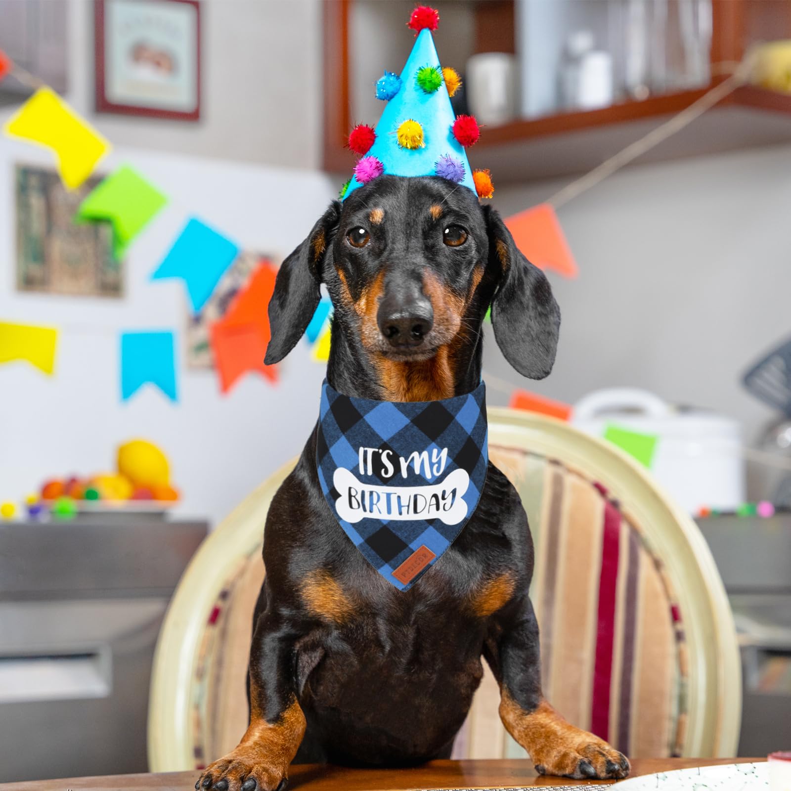 PTDECOR dog birthday scarf blue plaid worn by dog to showcase celebration