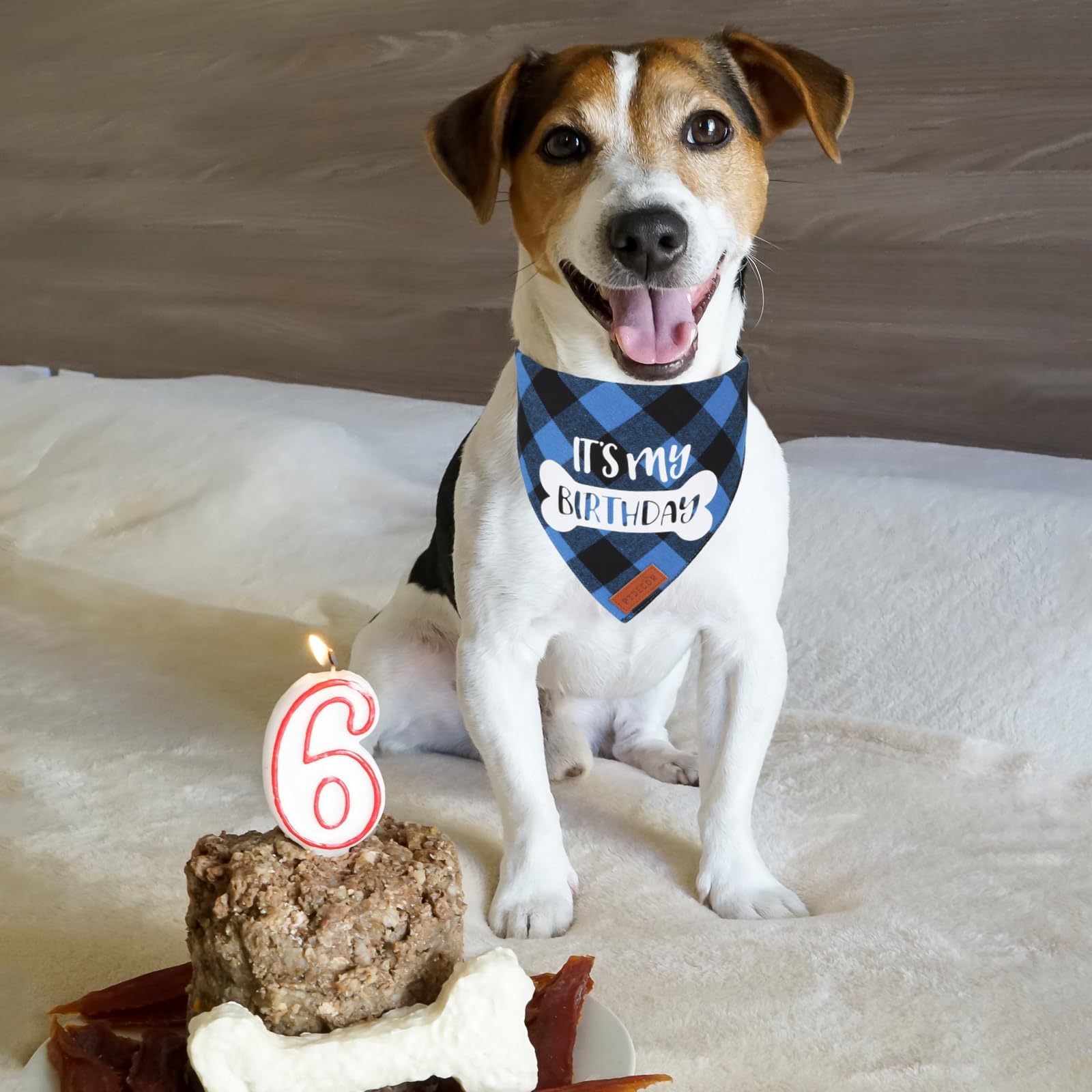 PTDECOR dog birthday scarf blue plaid side view perfect for party styling