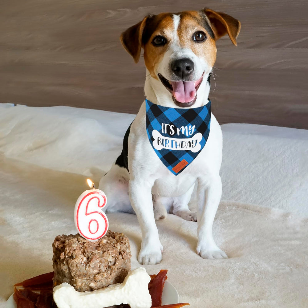 PTDECOR dog birthday scarf blue plaid side view perfect for party styling