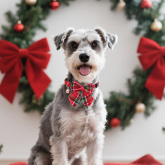 PTDECOR cotton dog collar offers soft comfort for daily wear