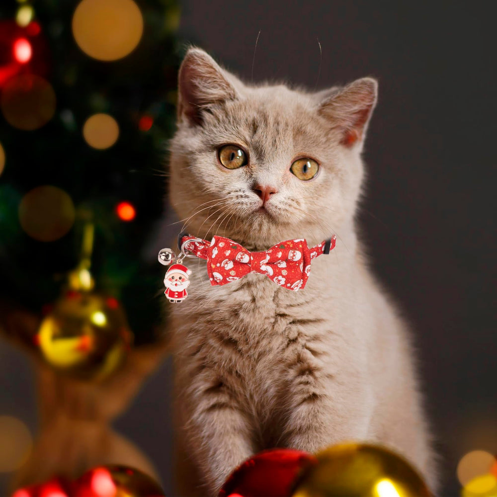PTDECOR removable bowtie elastic collar for versatile looks and comfort