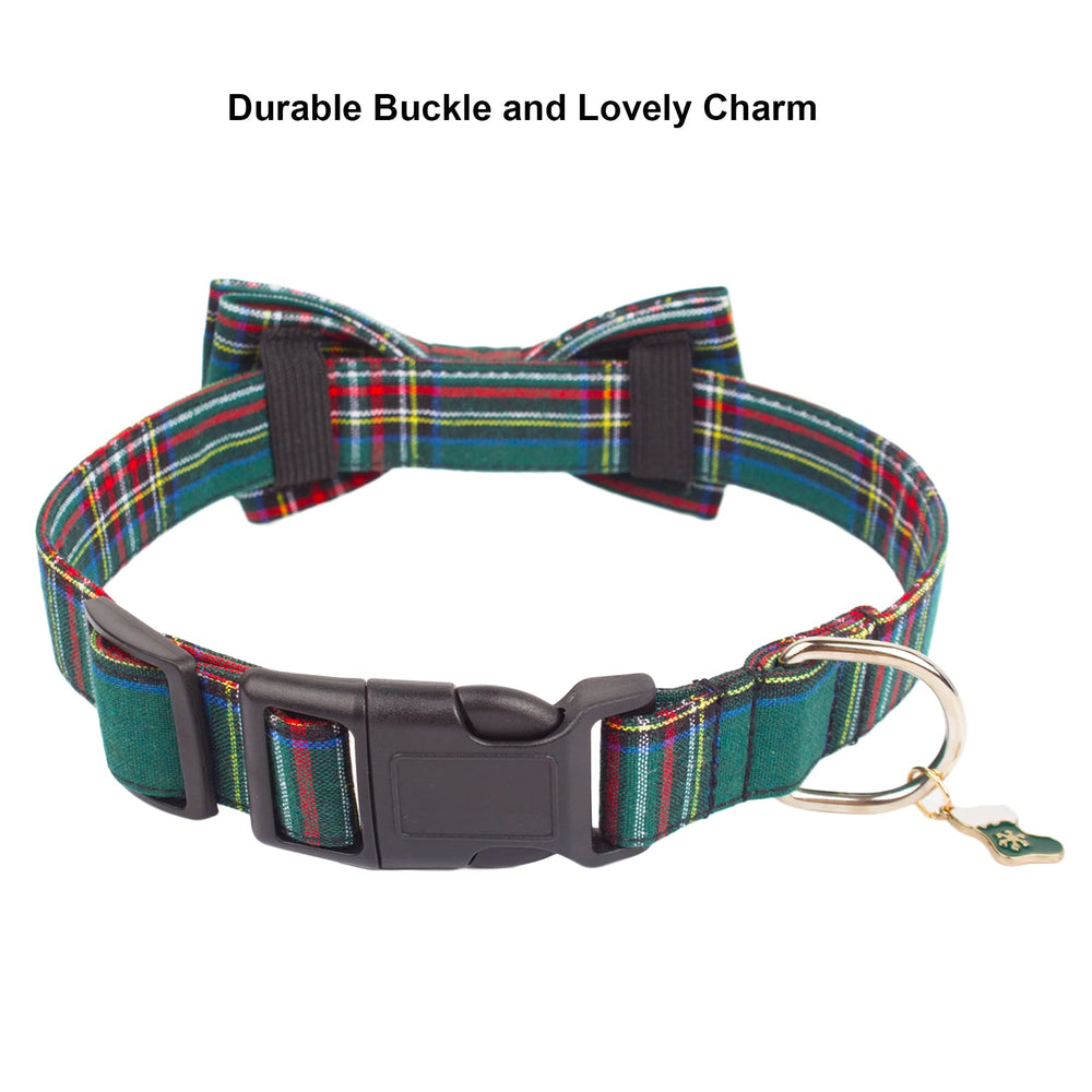 PTDECOR small dog neck measurement guide for proper fit