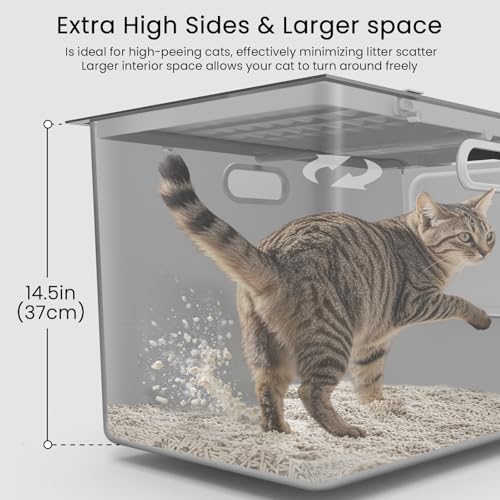 PTFFF rust-resistant non-stick litter box surface resists staining