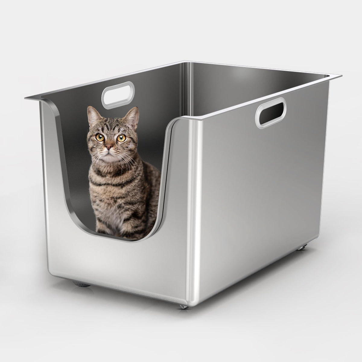 PTFFF stainless steel litter box high-sides close-up shows litter containment and durability.