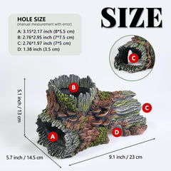 PTFJZ hollow tree trunk inside view reveals ample internal space for fish exploration