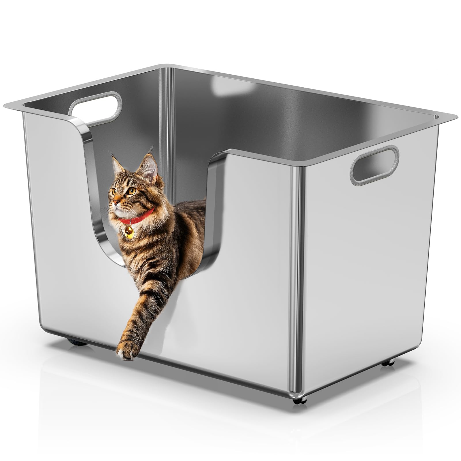 Ptlom enclosed steel litter box full view highlights spacious interior for multi-cat households.
