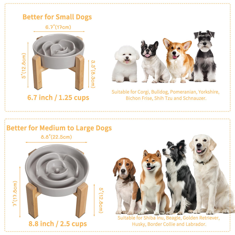 PTOBER anti-slip base keeps the bowl steady during lively meals.