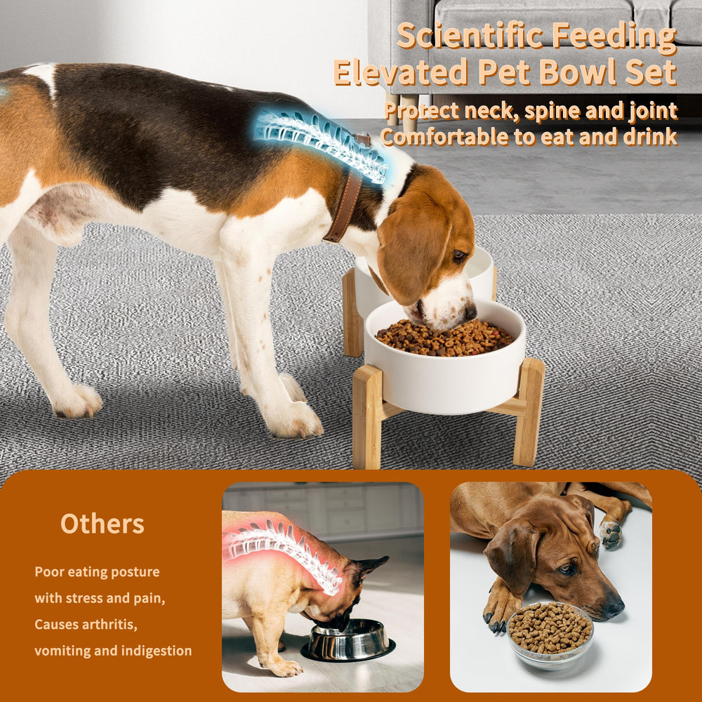 PTOBER double bowls keep water and food separate for hygiene and convenience.