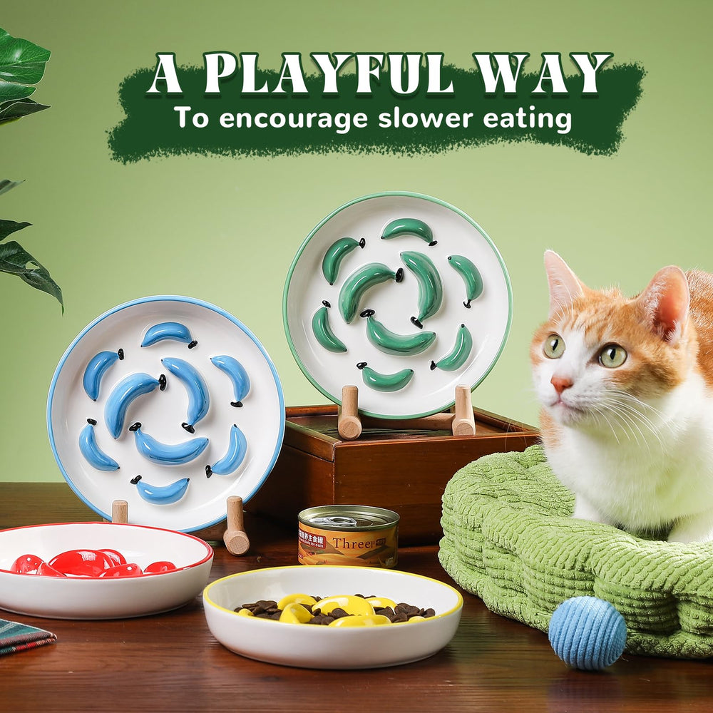 PTOBER cat bowl supports dry, wet, canned, or raw meals for variety.