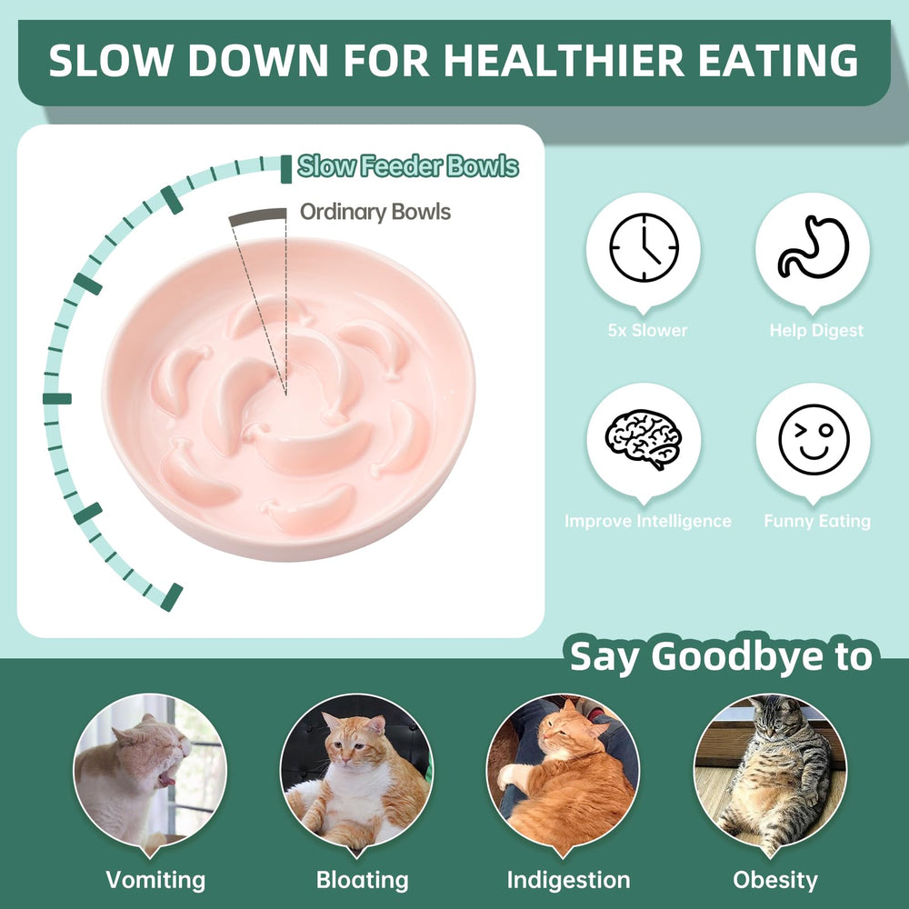 PTOBER ceramic cat slow feeder bowl pastel inside view shows raised maze obstacles.